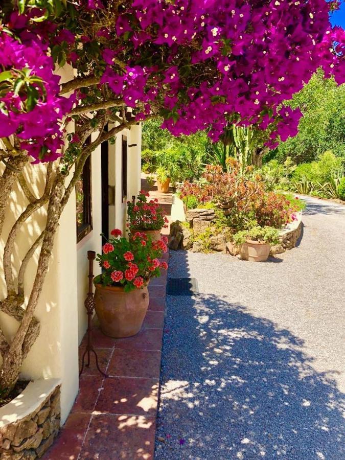 Agroturismo Can Talaias San Carlos Es Cana Exteriör bild